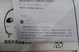 宁阳债务清欠服务